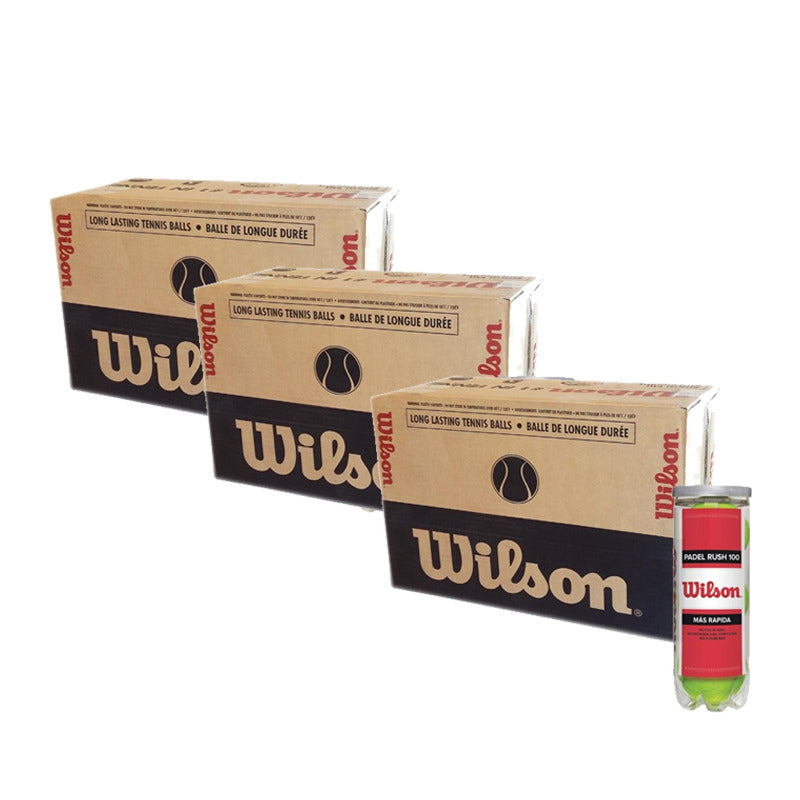 Box of 72 balls - 24 cans of 3 units - Wilson Rush 100 x 3 units