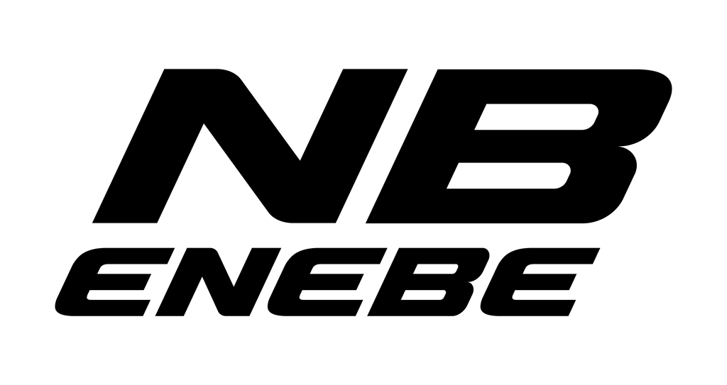 NB ENEBE logo