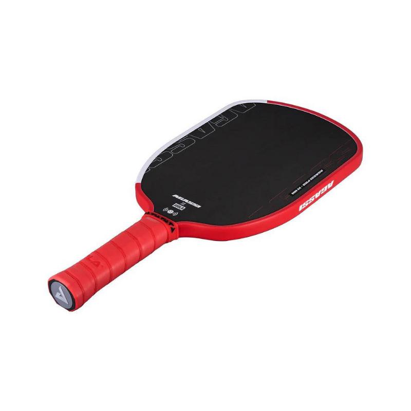 Pala Pickleball Joola Agassi Pro IV 14