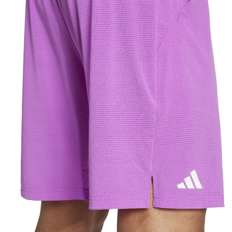 Court adidas ergo purpura