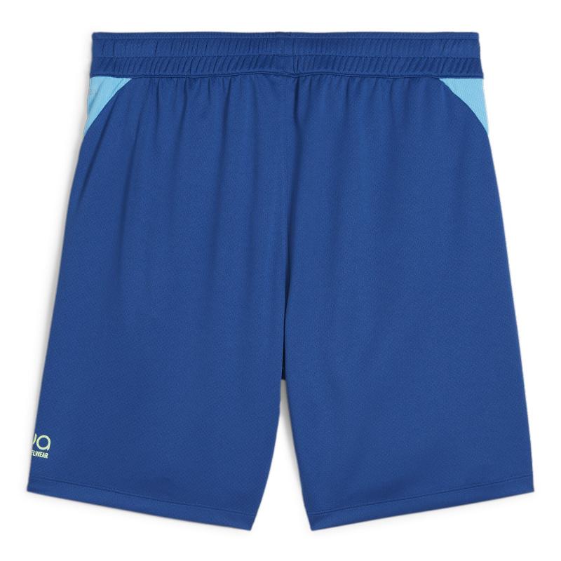 Puma Cobalt Blue Shorts